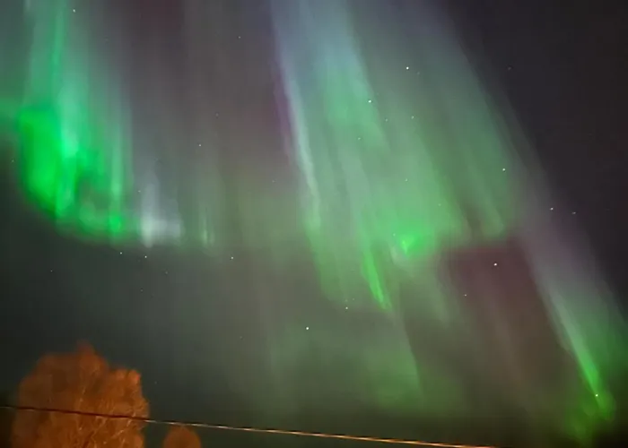 Koselig Med Havutsikt Tromsø