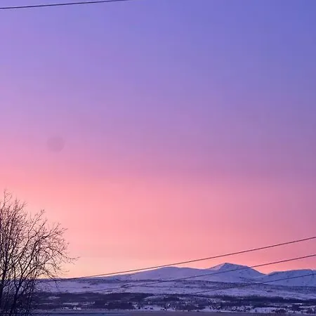 Koselig Med Havutsikt * Tromso